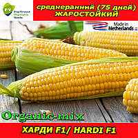 Насіння, ХАРДІ F1/HARDI F1, цукрова кукурудза, 100 000 насіння, ТМ Pop Vriend Seeds (Нідерланди)