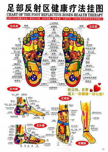 Атлас акупунктурных меридианов и точек. (стопы) (ID#1225850019), цена ...