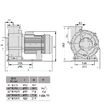 Насос AquaViva LX WTB300T (380В, 60 м3/ч, 4HP), фото 2