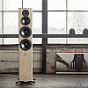 Підлогова акустика Dynaudio Evoke 50, фото 7