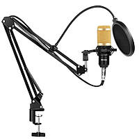 Конденсаторный микрофон студийный RIAS M-800 Pro-MIC со стойкой и ветрозащитой Black-Gold (4_00352)