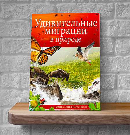 Дивовижні міграції в природі – Рамос Селедоніо Гарсіа-Позуело (12+, рос.), фото 2