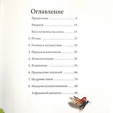 Дивовижні міграції в природі – Рамос Селедоніо Гарсіа-Позуело (12+, рос.), фото 2