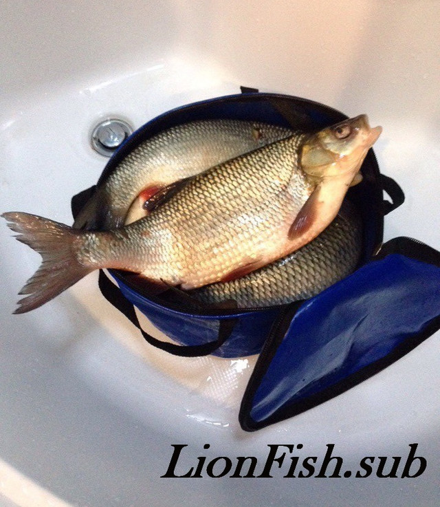 Ведро LionFish.sub для Замешивания Рыболовного корма, Сумка для Трофейных Рыб на 8л, Крышка и Две Ручки ПВХ