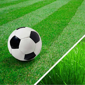 Штучна трава для футболу Limonta SoccerPro MAX S 40 мм (fifa certified), фото 2