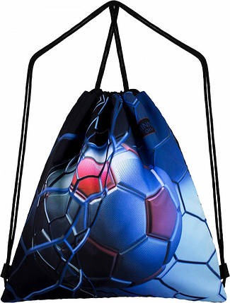 Сумка для змінного взуття Winner One M-56, фото 1