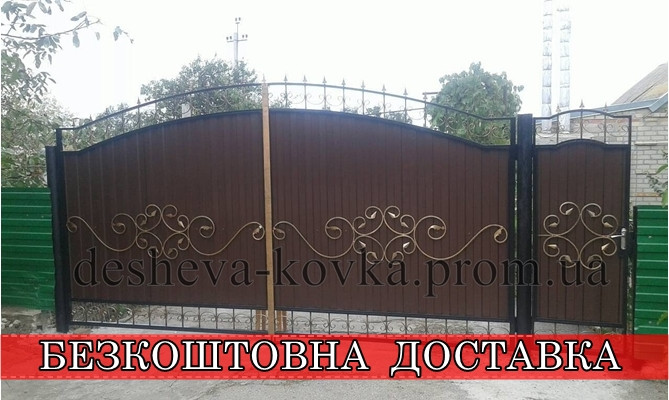 Ковані ворота з хвірткою та профнастилом, фото 1