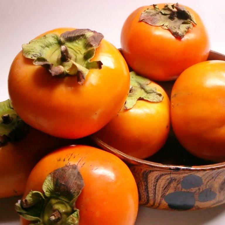 Хурма Божий Дар (однорічна)