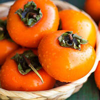 Саджанці хурми Зенджи мару (Шоколадниця) (однорічна) - привита, пізня, самоплодовий, солодкий