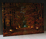 Картина з світловими ефектами осінній ліс із стежкою палаючих ліхтарів, 6 LЕD ламп, 30х40 см (940102), фото 4