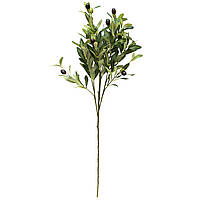 Оливковое дерево, искусственная веточка, 76 см, зеленый, ткань (631789)
