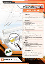 Лампа світлодіодна трубчаста ЕВРОСВЕТ 18Вт 6400K L-1200-6400-13 T8 G13