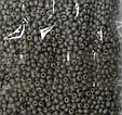 Бісер Preciosa 10/0 колір 43020 сірий 10г, фото 2