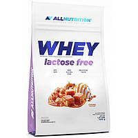 Сывороточный протеин AllNutrition Whey Lactose Free 700 г