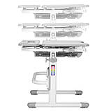 Комплект зростаюча парта Cubby Fressia Grey + ергономічне крісло Fundesk Mente Grey, фото 3