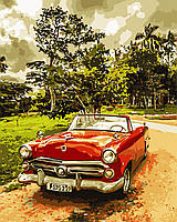 Художній творчий набір, картина за номерами Американська класика, 40x50 см, «Art Story» (AS0526)