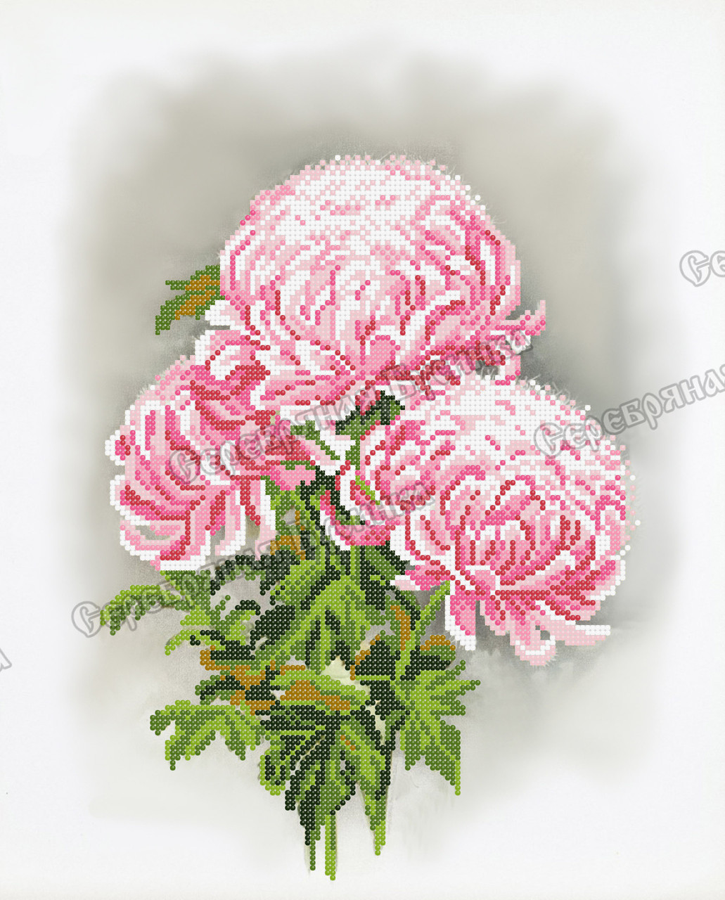 Схема для вишивки бісером Сб-469 Рожеві хризантеми, фото 1