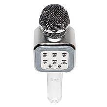 Мікрофон Karaoke DM WS 1818