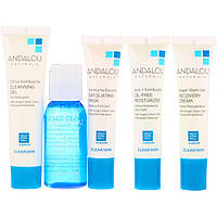 Набор по уходу за лицом (Skin Care Essentials), Andalou Naturals, 5 шт