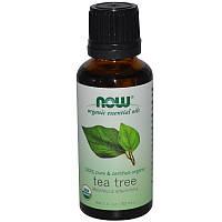 Органическое масло чайного дерева (Oil Tea Tree), Now Foods, 30 мл.
