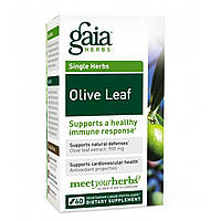 Экстракт листьев оливы, Olive Leaf, Gaia Herbs, 60 капсул