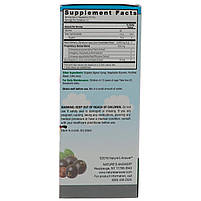 Чорна бузина, для дітей, Sambucus, Nature's Answer, 120 мл, фото 2