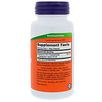 Екстракт бузини, Now Foods, 500 мг, 60 капсул, фото 2