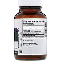 Gaia Herbs, Чорна бузина, 120 веганських капсул, фото 2