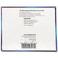 Xyloburst, All Natural Xylitol Gum, Peppermint, 12 Packs, 12 Pieces per Pack, фото 2