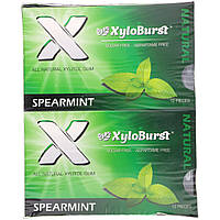 Xyloburst, All Natural Xylitol Gum, Spearmint, 12 Packs, 12 Pieces per Pack