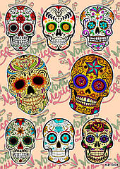 Стікерпак Mexican style Calavera skulls SP-030