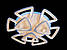 Стельова діодна люстра з пультом та підсвічуванням до 25 кв.м колір Білий 150 Ват Linisoln 5548/6+3 WH, фото 8