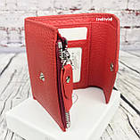 Жіночий шкіряний гаманець Bond Червоний гаманець шкіра. Жіночий гаманець у коробці. Портмоне. ДК3, фото 6