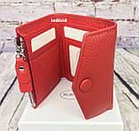 Жіночий шкіряний гаманець Bond Червоний гаманець шкіра. Жіночий гаманець у коробці. Портмоне. ДК3, фото 2