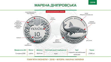 Срібна монета НБУ "Марена дніпровська", фото 5