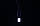 Гірлянда вулична LUMION нитка 200LED 10m 230V колір білий холодний/чорний IP44 EN, фото 3