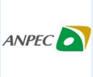 Anpec Electronics Coropration