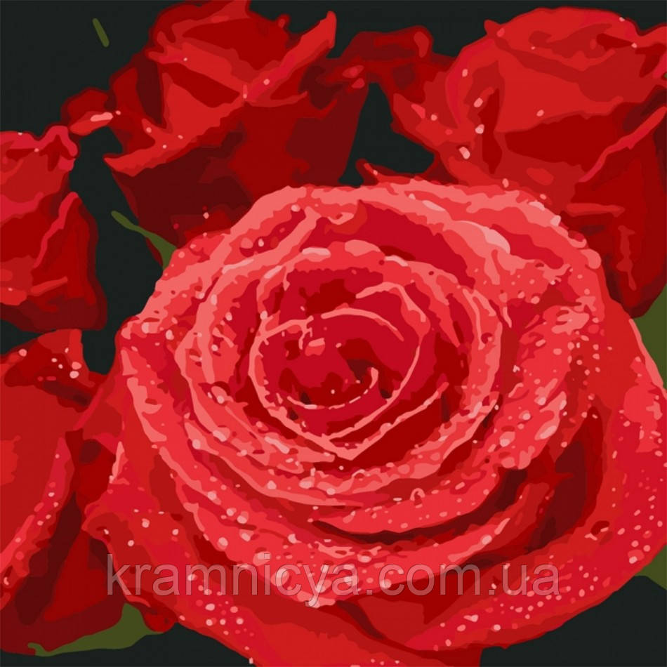 Картина по номерам Красные розы, 40x40 (КНО3089) - фото 1 - id-p1227814861