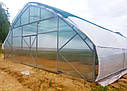 Фермерська теплиця під подвійний шар плівки "Фермер ПРОФІ-У" 10Х100 (крок 2 м), фото 2