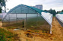 Щільна фермерська теплиця під плівку 10х60 (крок 2,5 м) Фермер Профі, фото 8