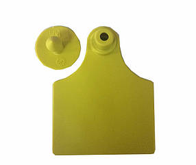 Вушна Бирка, 60х80 мм, Україна