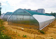 Тунельная фермерская теплица под пленку 10х100 (шаг 2,5 м) Фермер Профи