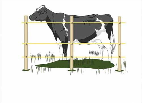 Електропастух для корів 9/12 V. Під дерев'яний стовпчик(комплект на 300 м.), фото 1