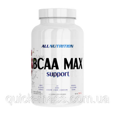 Амінокислоти AllNutrition BCAA Max Support 250g