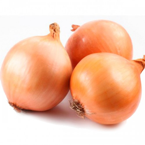 Цибуля сіянка (саджанка) Коррадо (Corrado) 0.5 кг, фото 1