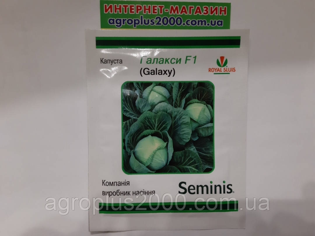 Насіння Капуста білокачанна пізня Галаксі F1 , 500 насінин Seminis
