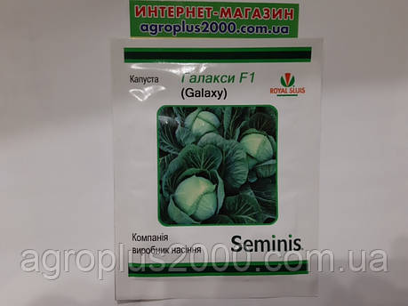 Насіння Капуста білокачанна пізня Галаксі F1 , 500 насінин Seminis, фото 1