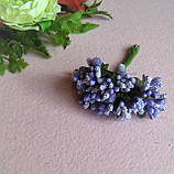 Тичинки складні на гілочках. Колір бузковий., фото 2