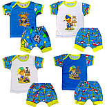 Футболка і шорти під памперс Олежка, фото 5