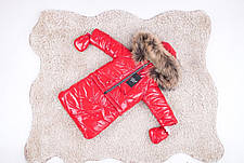 Зимовий дитячий теплий комбінезон-трансформер 3в1: курточка, конверт для ніг, напівкомбінезон / 0-2 року, єнот, фото 3